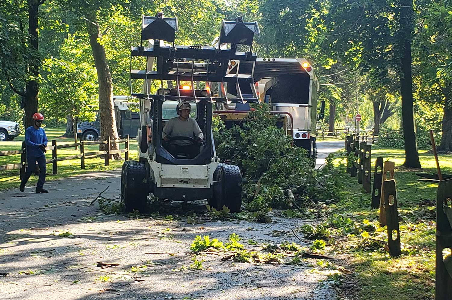 Emergency Tree Services Rubio's Tree Service