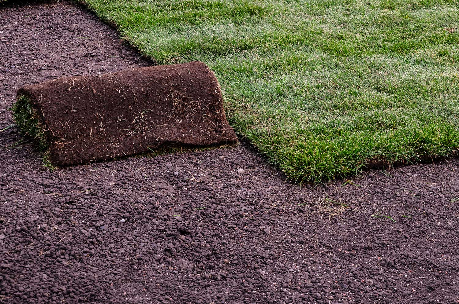 Sod and Grass Installation