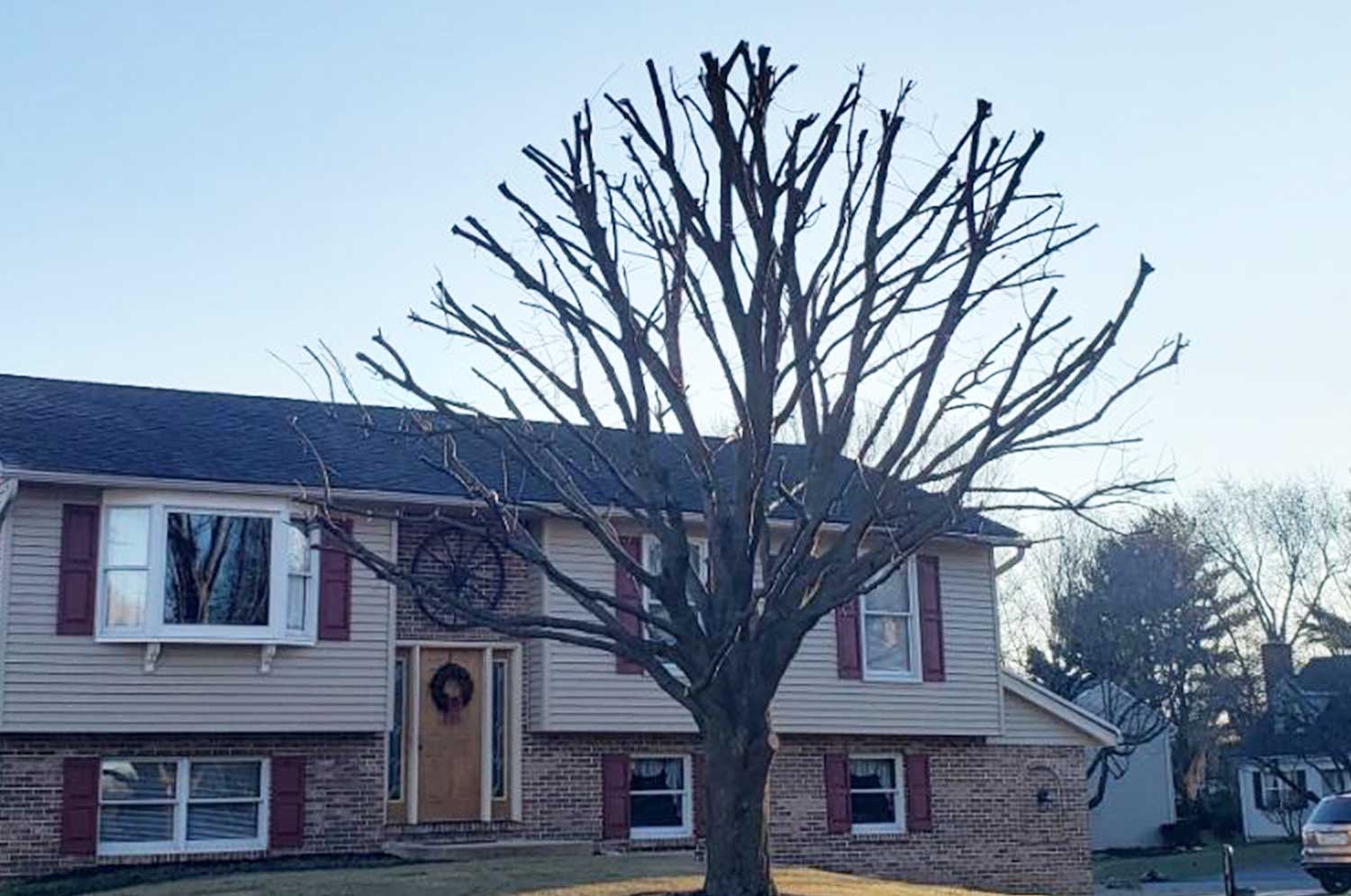 Tree Pruning