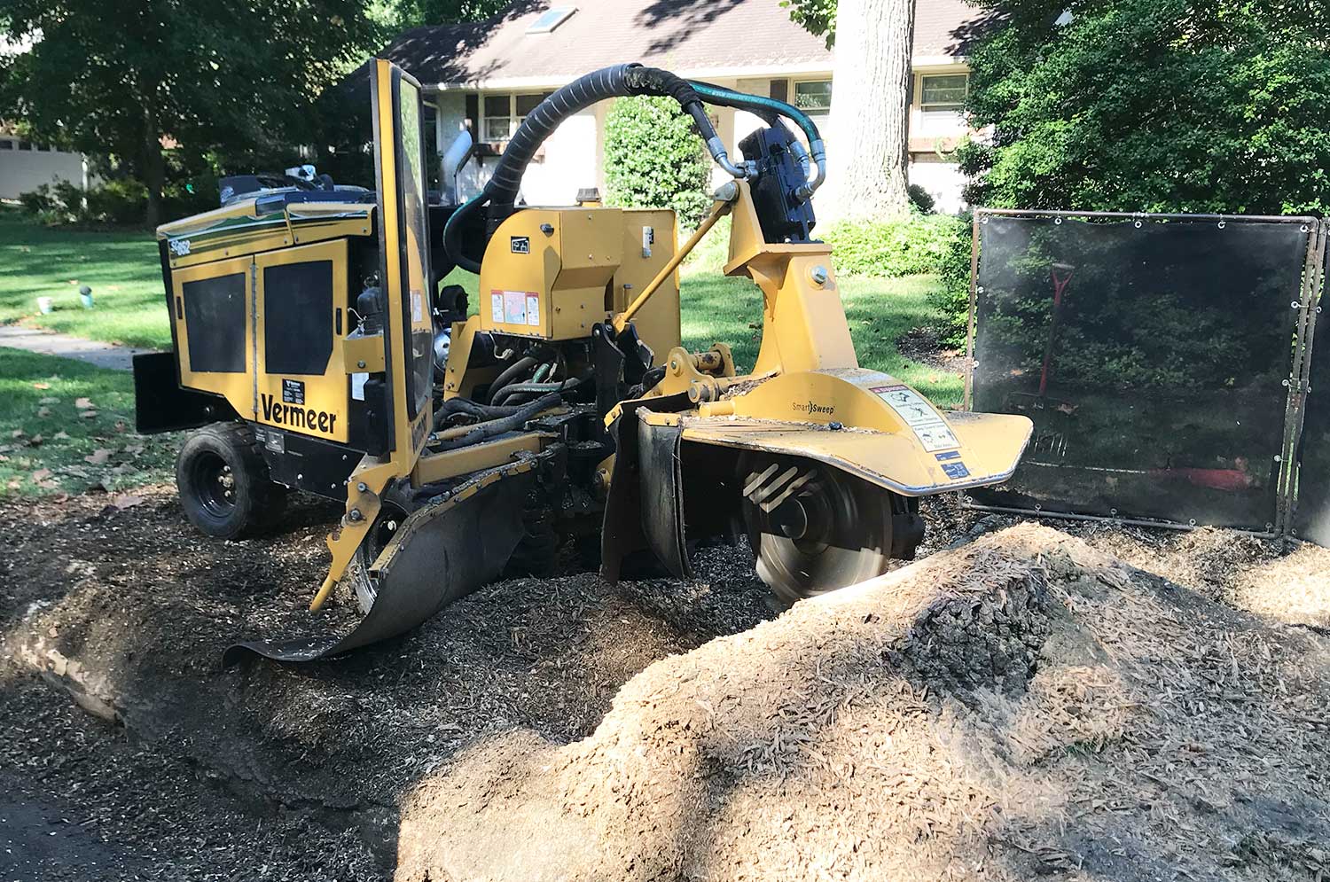 tree stump grinding